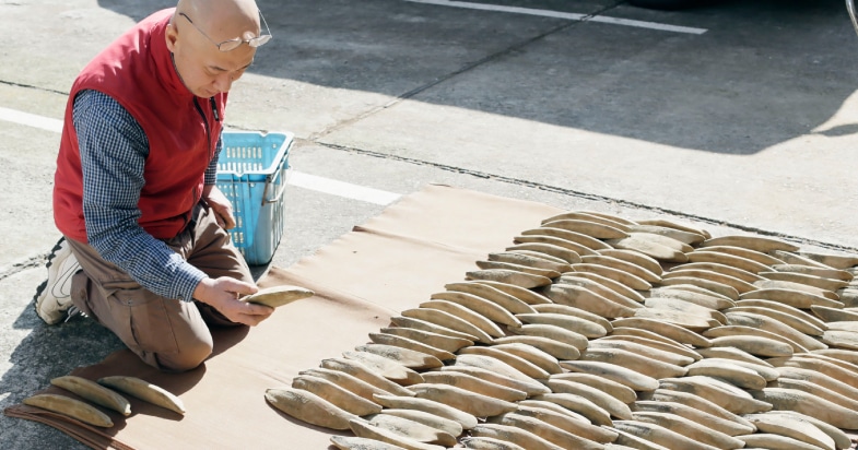 �^�C�R�E�ڗ���