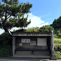 ���������o�X��