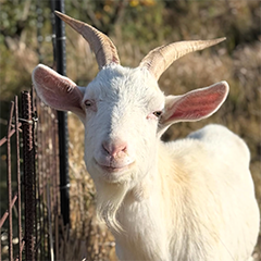 ���M����