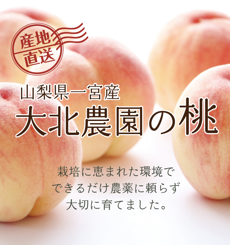 マクロビオティック通販GAIAネット(ガイアネット) メーカー・ブランド別/大北農園オーガニックエコ雑貨と食材のセレクト通販 GAIAネット 山梨県産アウトレット桃 30