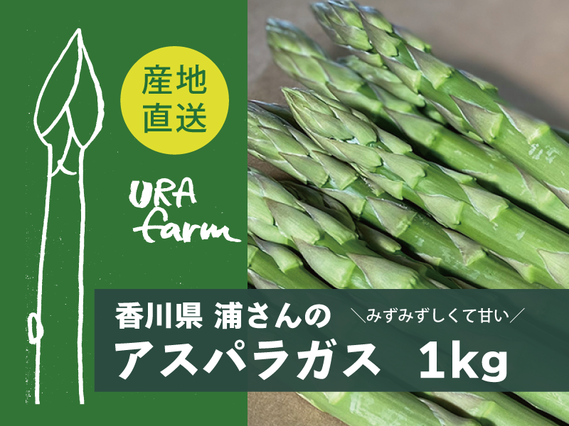 香川県 浦さんのアスパラガス