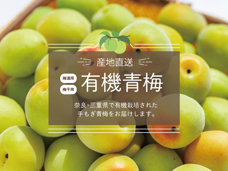 有機梅