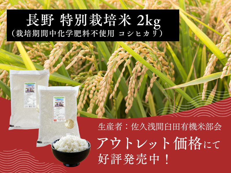 長野産アウトレット価格米