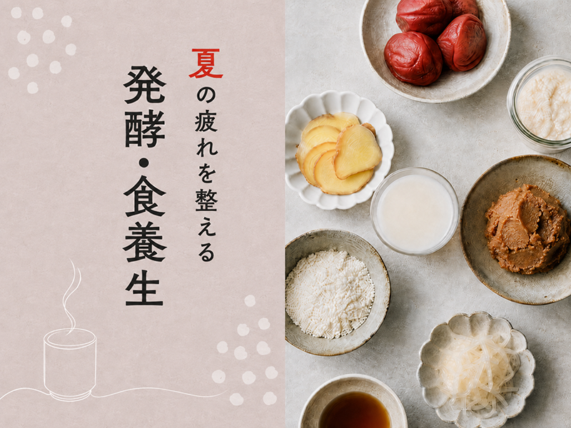 夏の疲れを整える 発酵・食養生